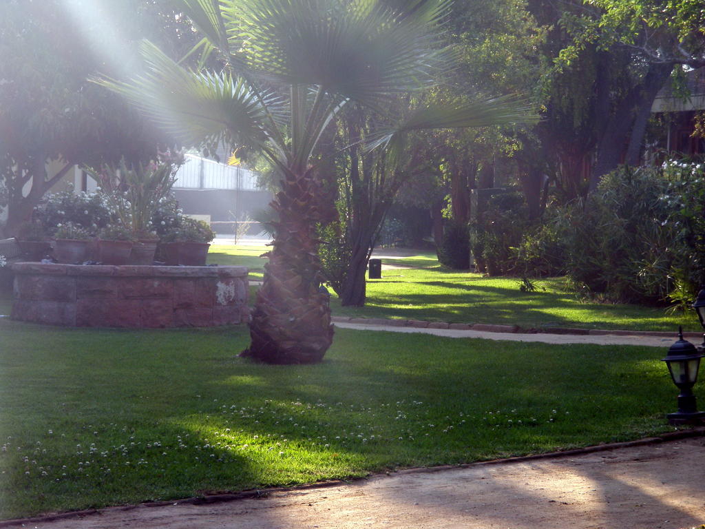 El Copihue Olmue Hotel Exterior photo